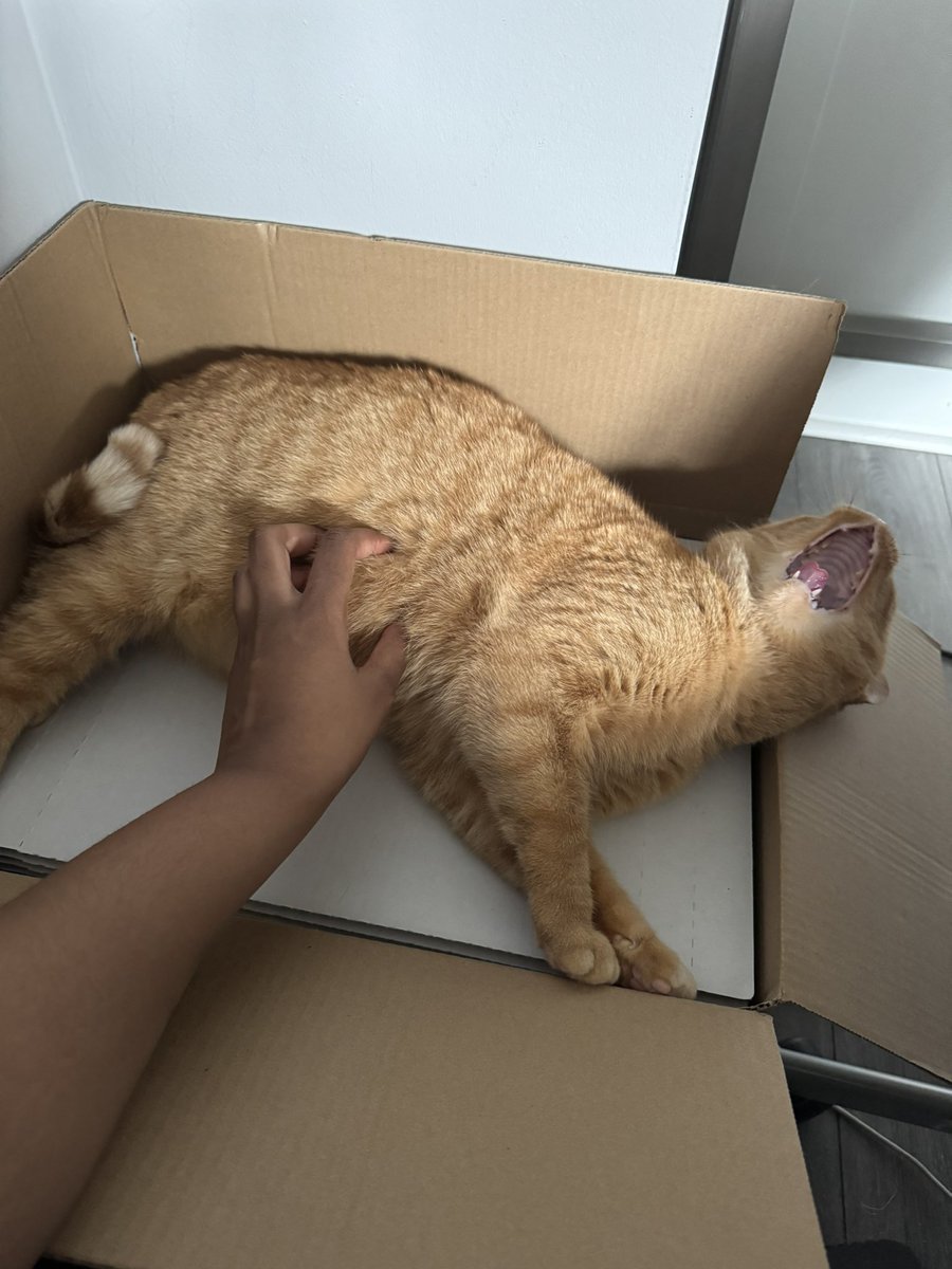 ethical hater tweet media