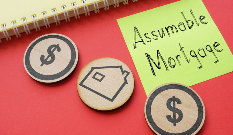 Jenise Gato aka "The Peaceful Agent" tweet media