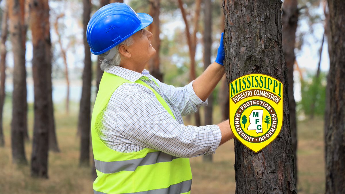 MS Forestry Commission tweet media