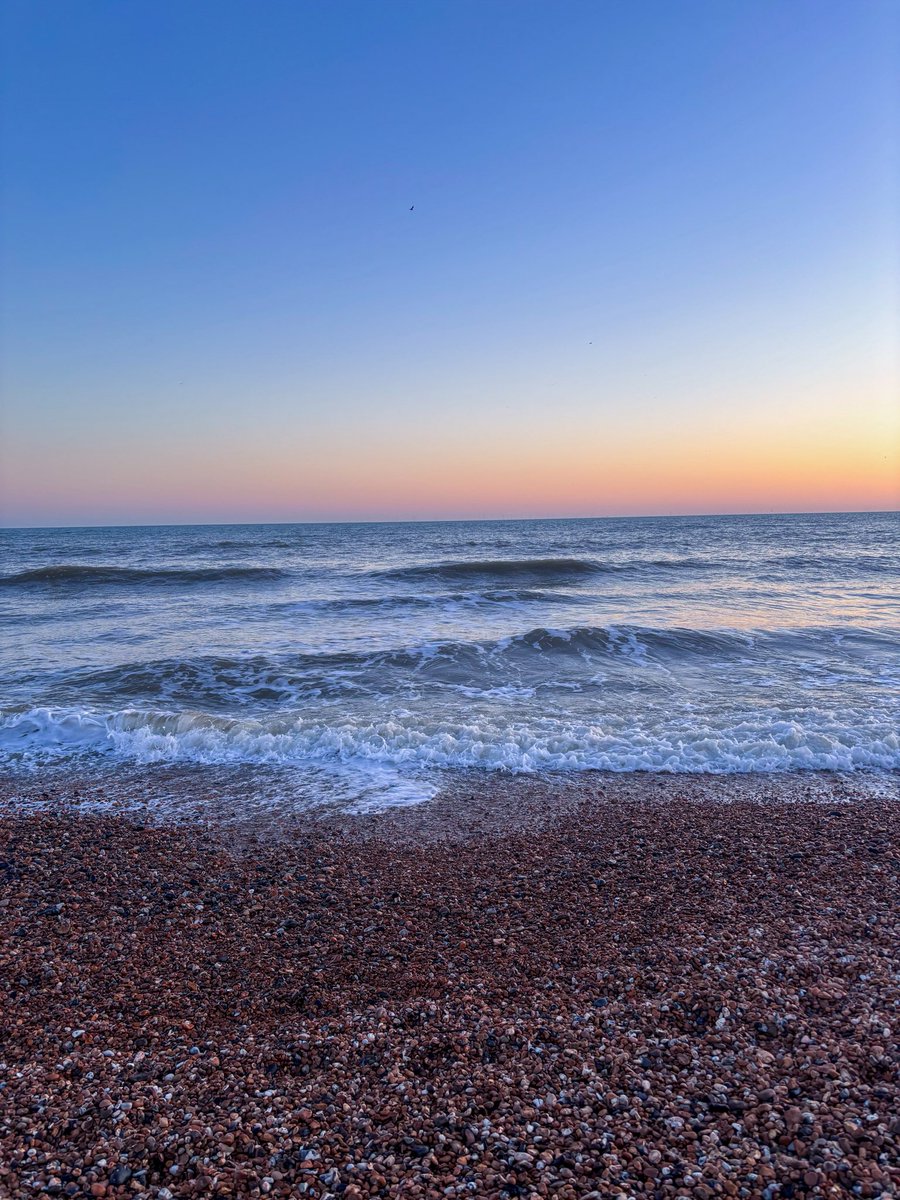 Danni Casey tweet media