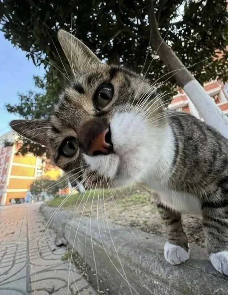 ERKAN YUR 72 🇹🇷 tweet media