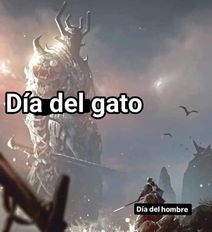 Pau Velociraptor tweet media