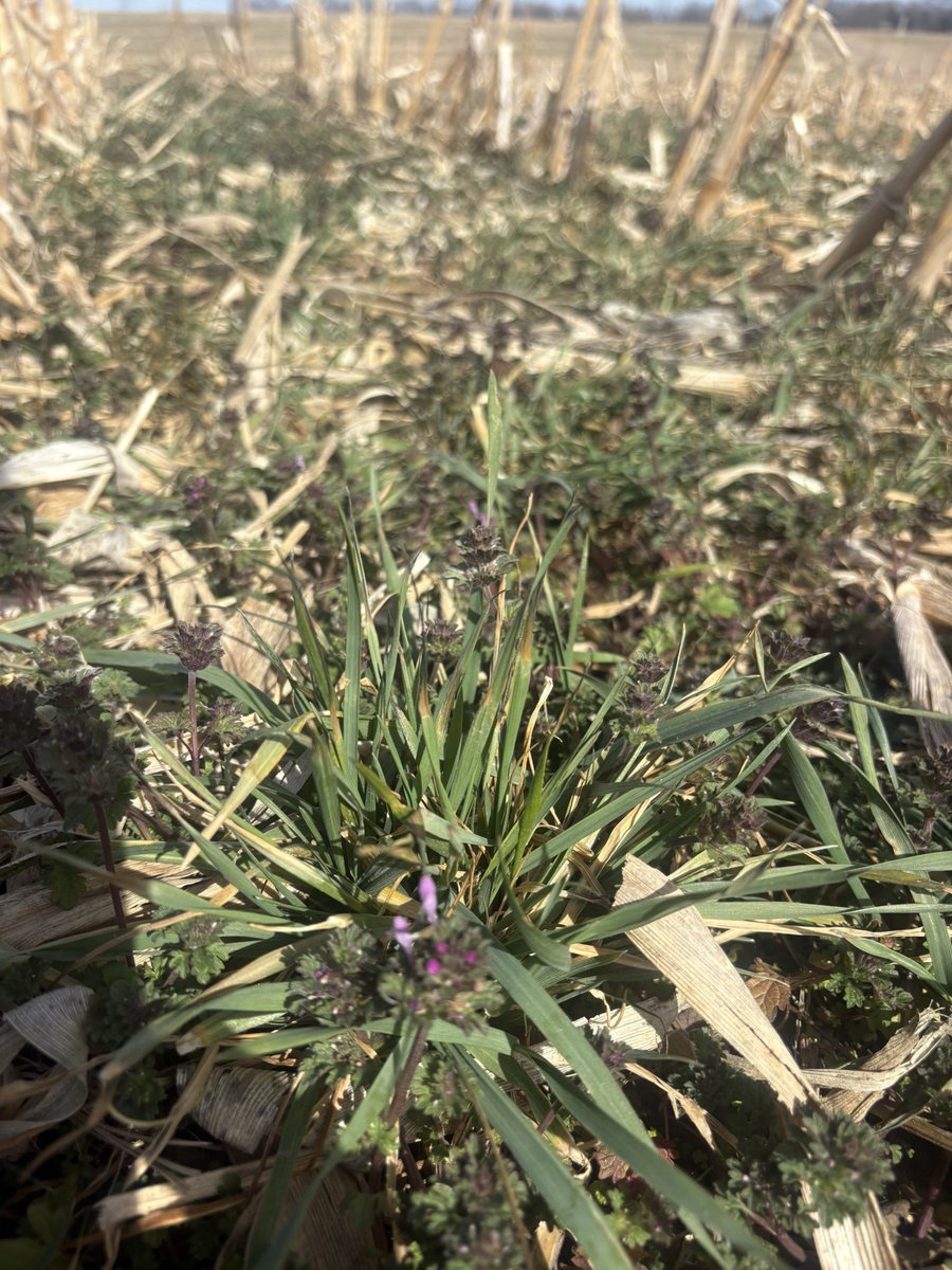 Mike James tweet media