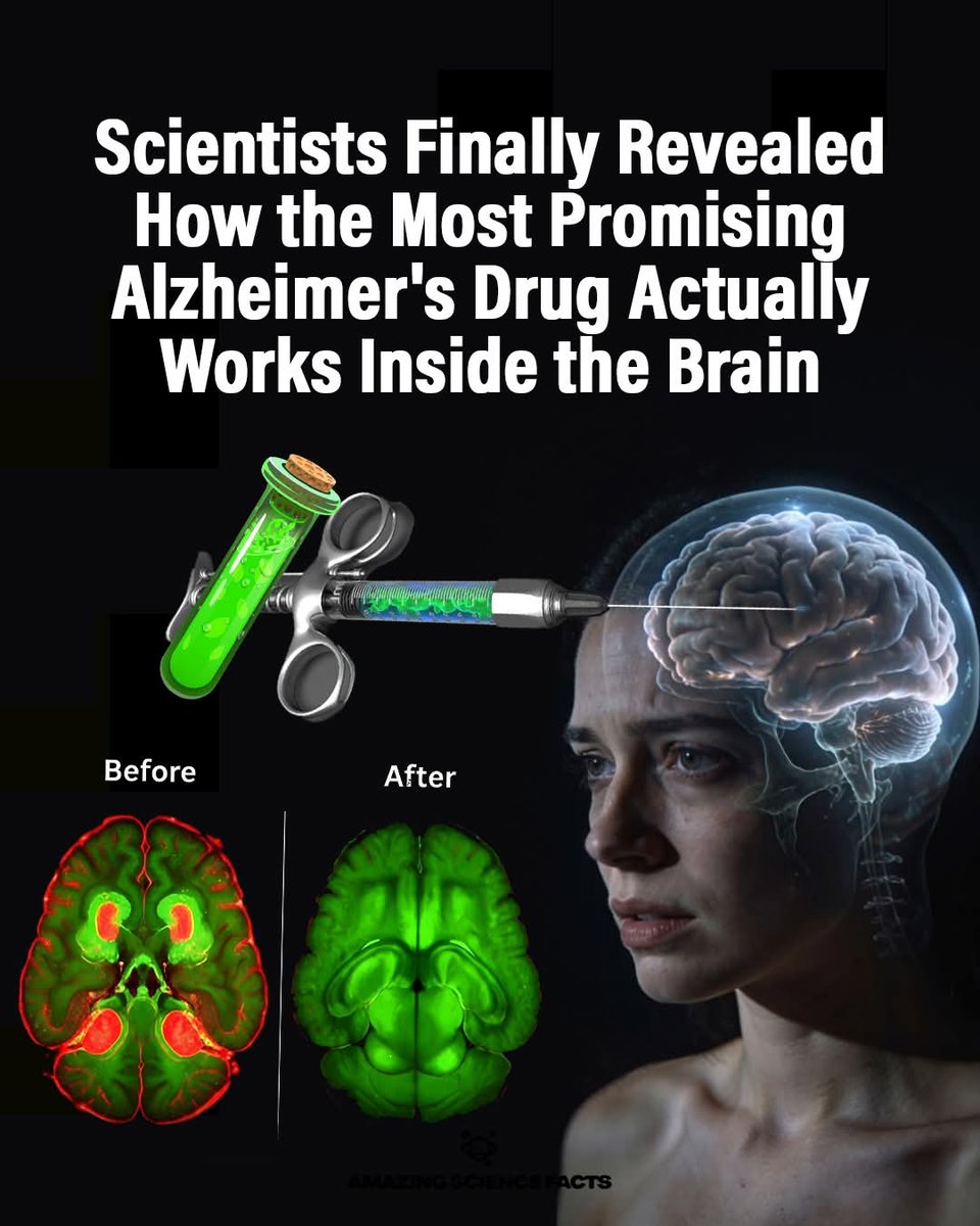 Edwin EPP🇨🇦 tweet media