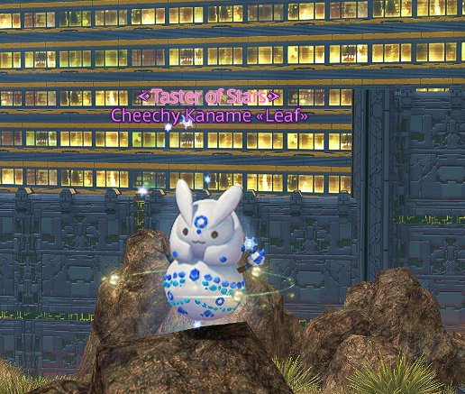 Cheechy the Potato 🥔 tweet media