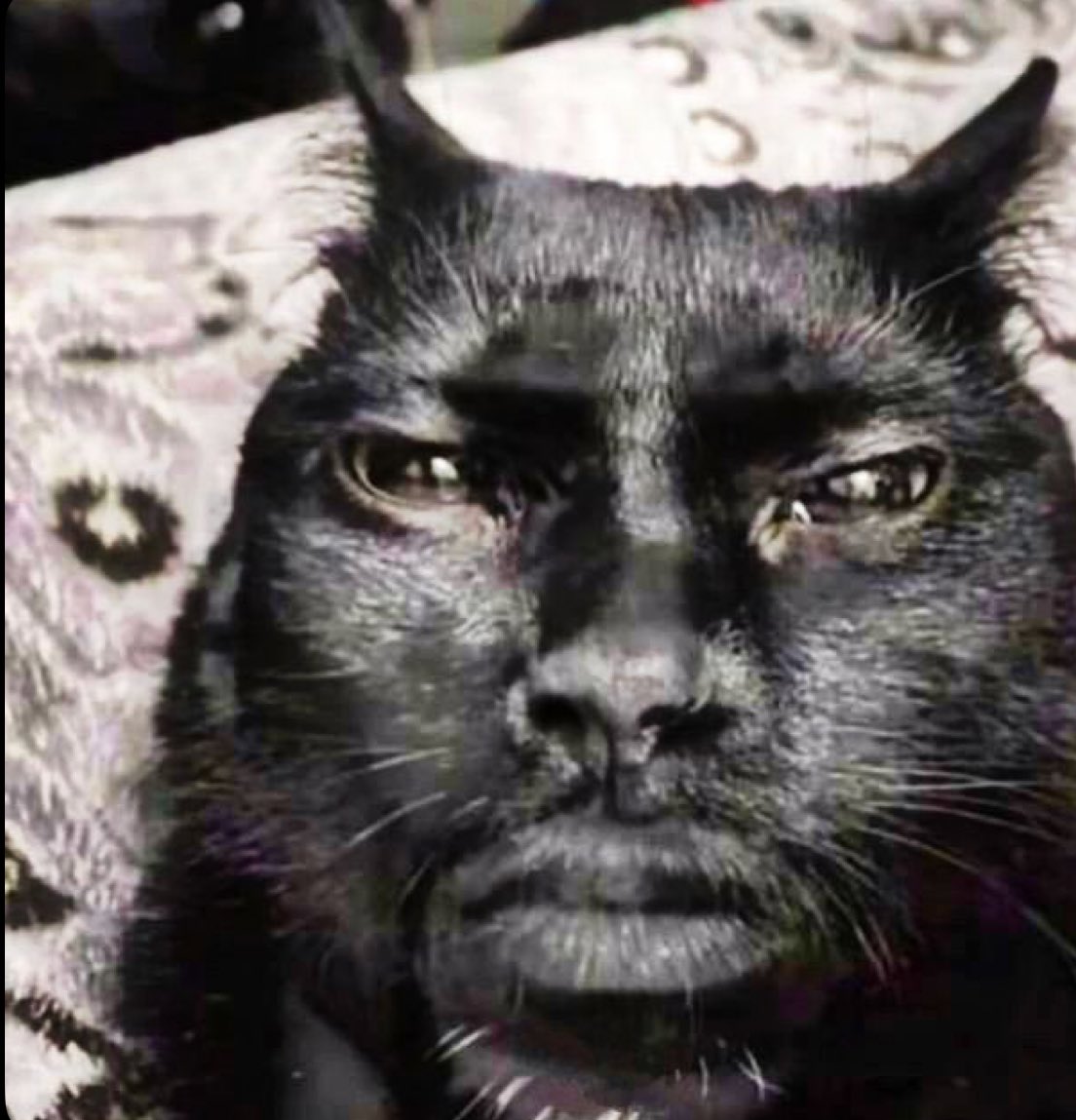 bmw ²¹² tweet media