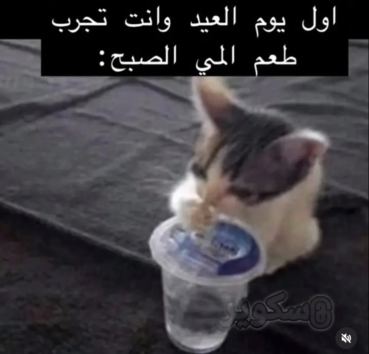 abdulrahman tweet media