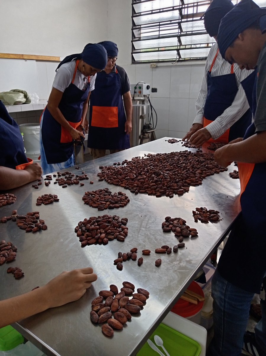 PNUDVenezuela's tweet photo. ¿Te enteraste de lo que está pasando en Puerto Ayacucho? 🇻🇪

Un grupo de personas encontró el equilibrio entre la generación de medios y el aprovechamiento sostenible de los bosques.

Conoce la iniciativa que está marcando la diferencia https://t.co/LfXDrHJhKD 🌳 #DíaDeLosBosques https://t.co/6a6qFuiZlo