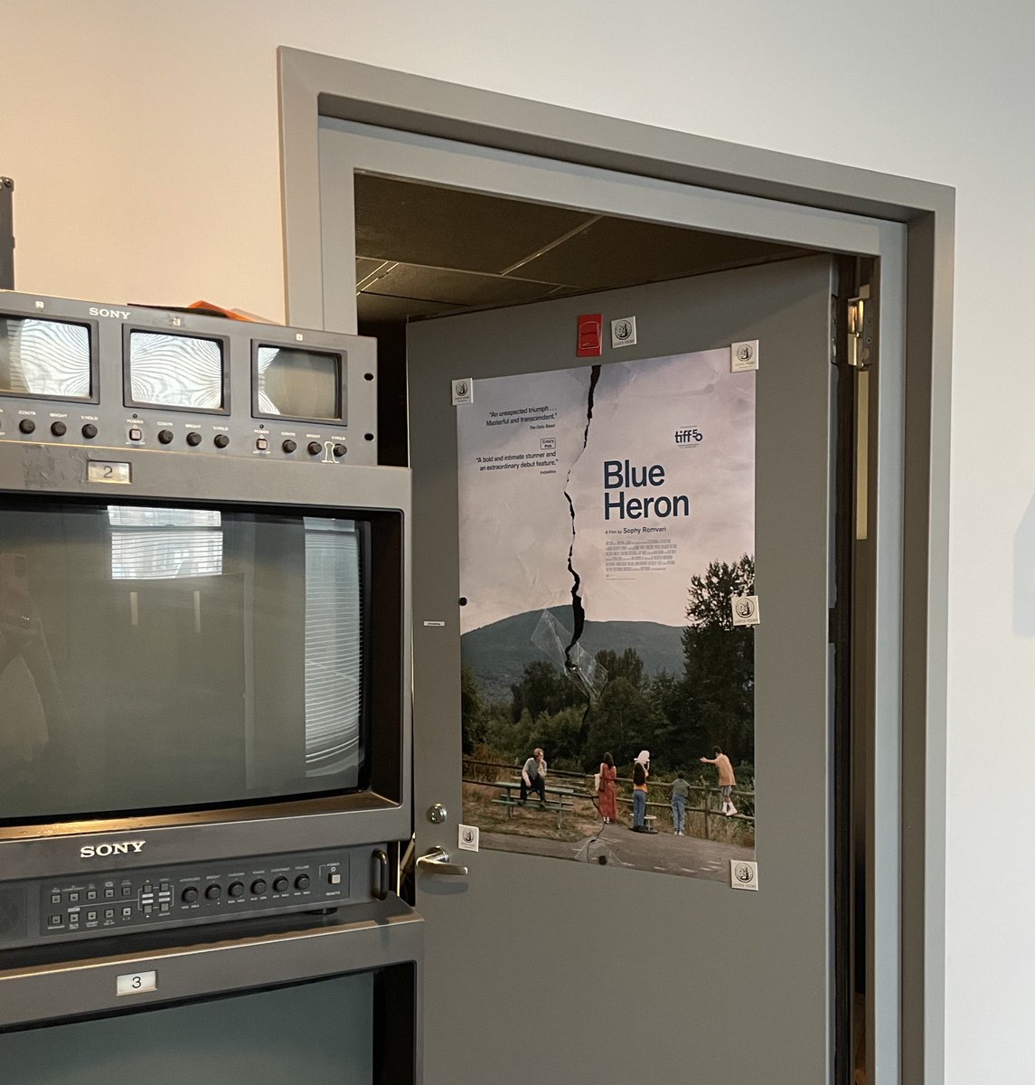 Sophy Romvari tweet media