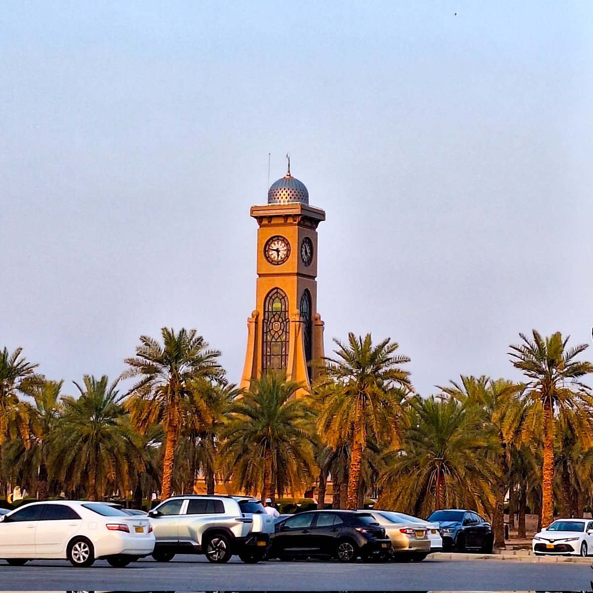 سَـالم | サリム tweet media