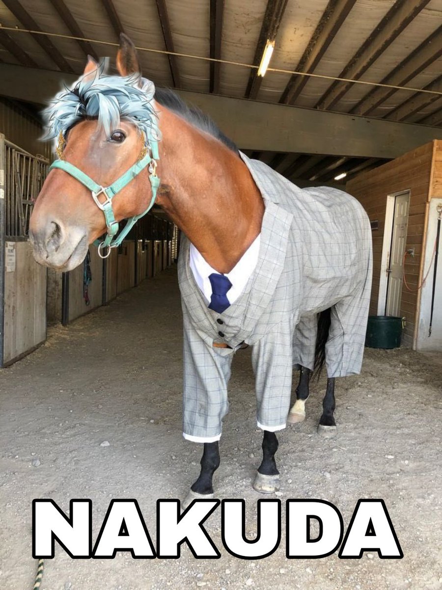 Sheira Aliora tweet media