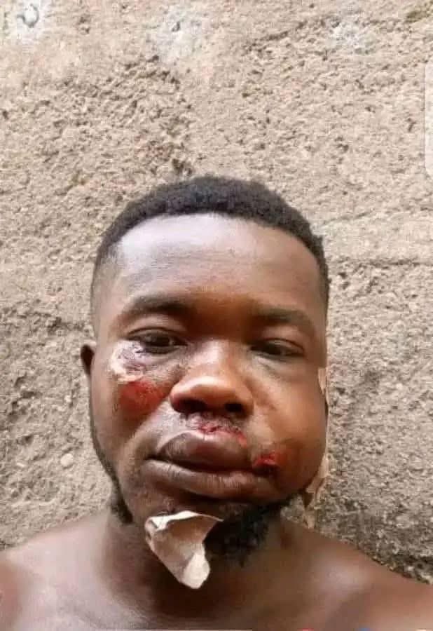 Brypto Musk tweet media