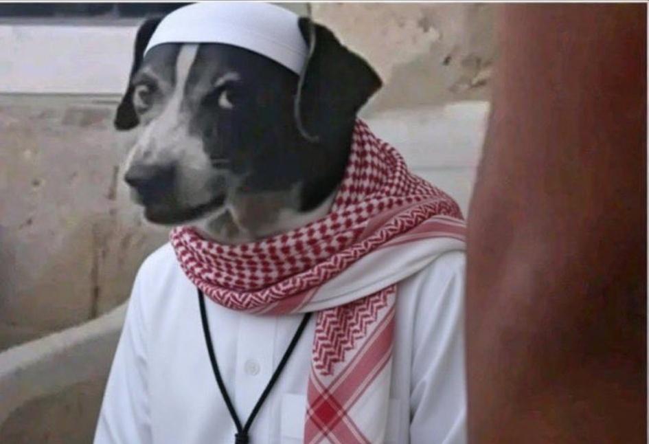 Taikun 🇳🇬 tweet media