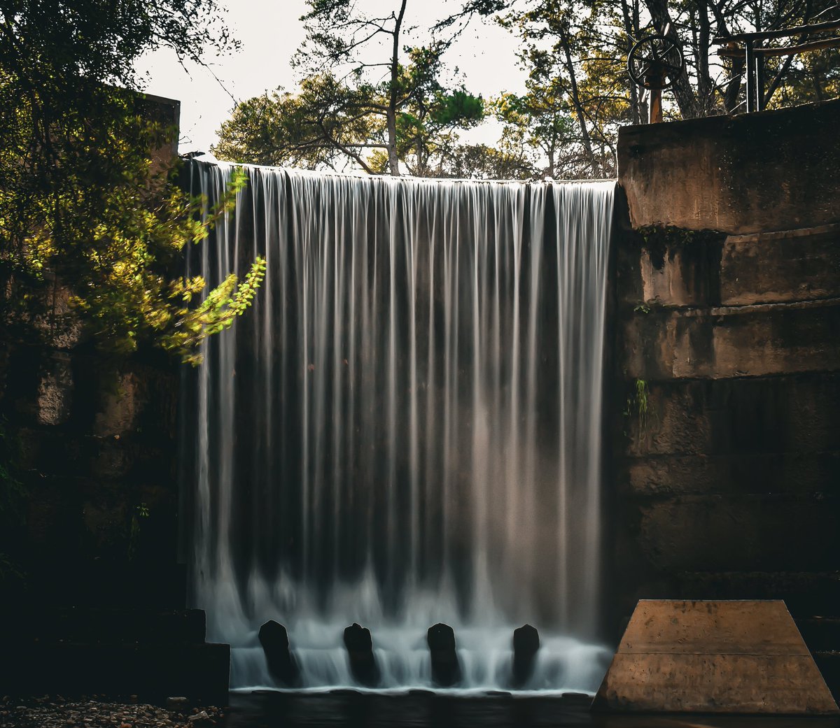 Elias_t 💎 tweet media