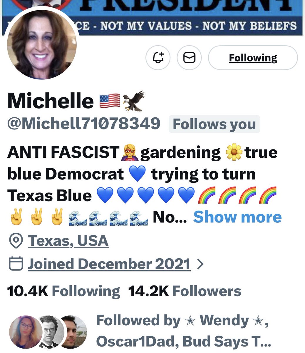 Turquoise Cat tweet media