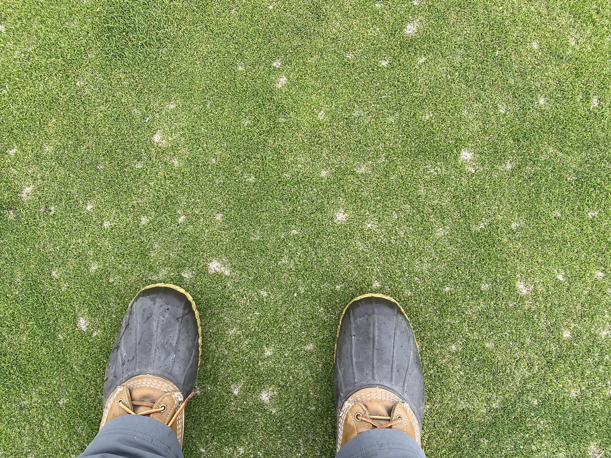 LHCC Grounds tweet media