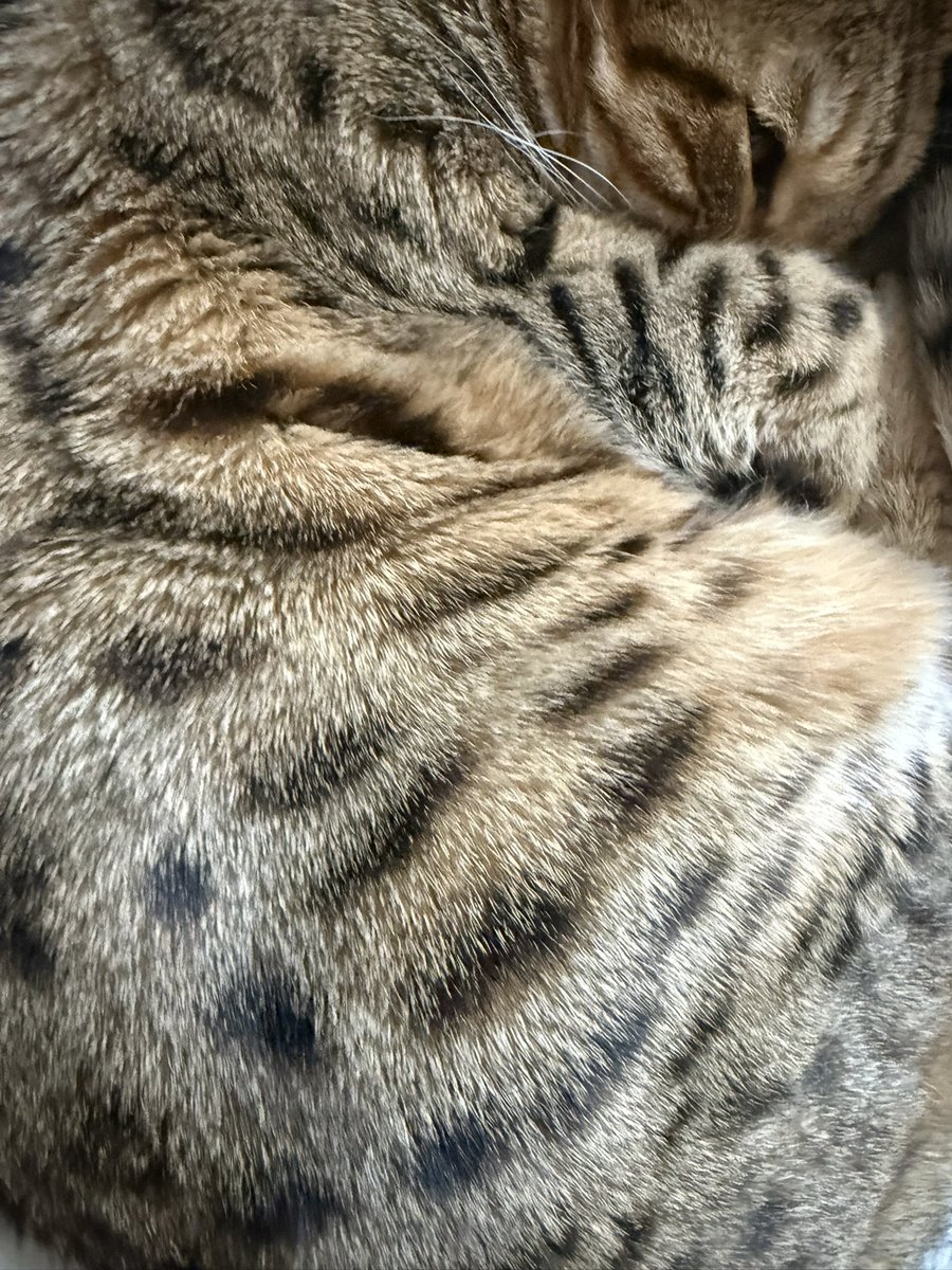 Heather Larson tweet media