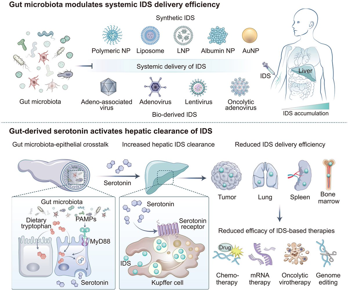 Waggoner Lab tweet media