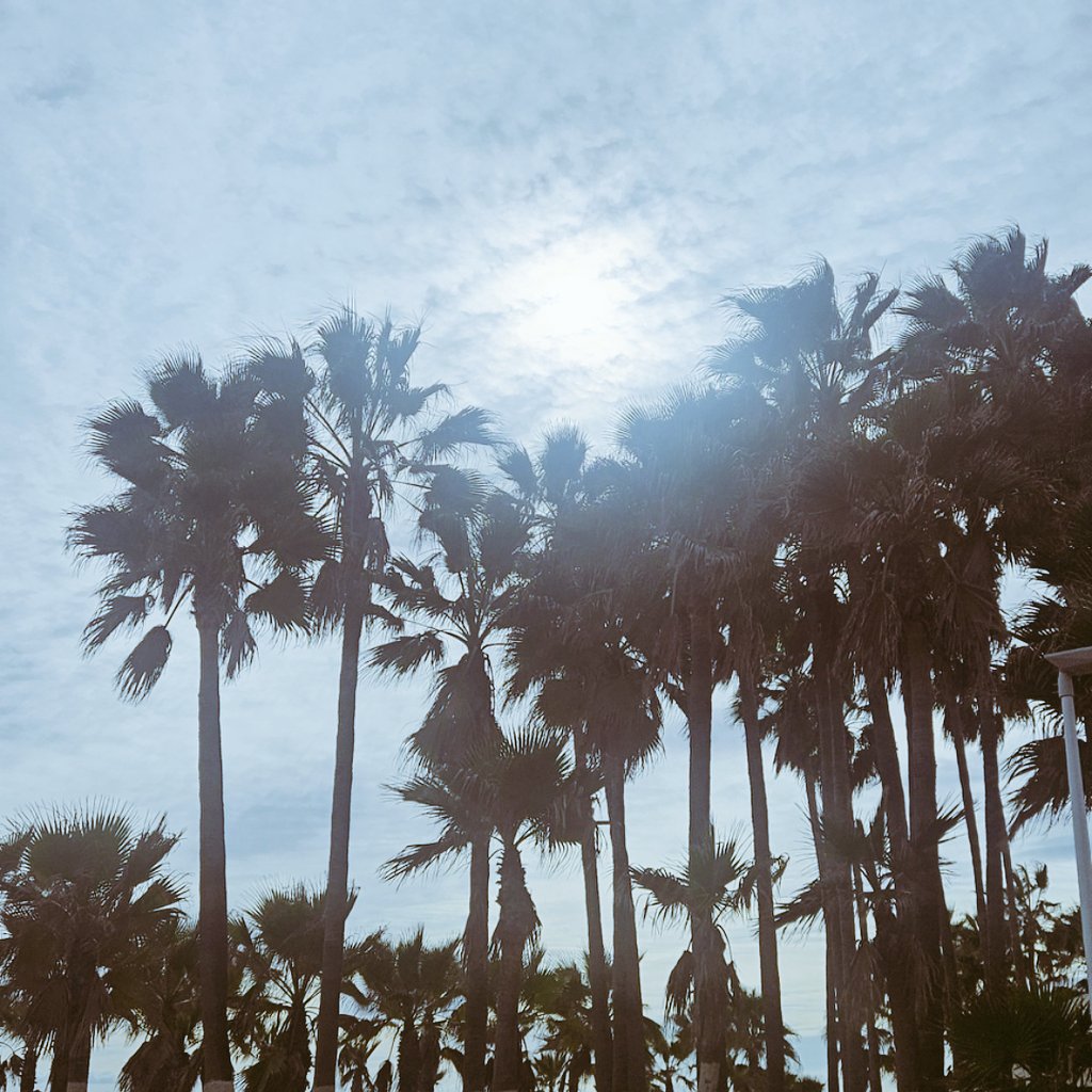 Pisma iz NorveškU tweet media