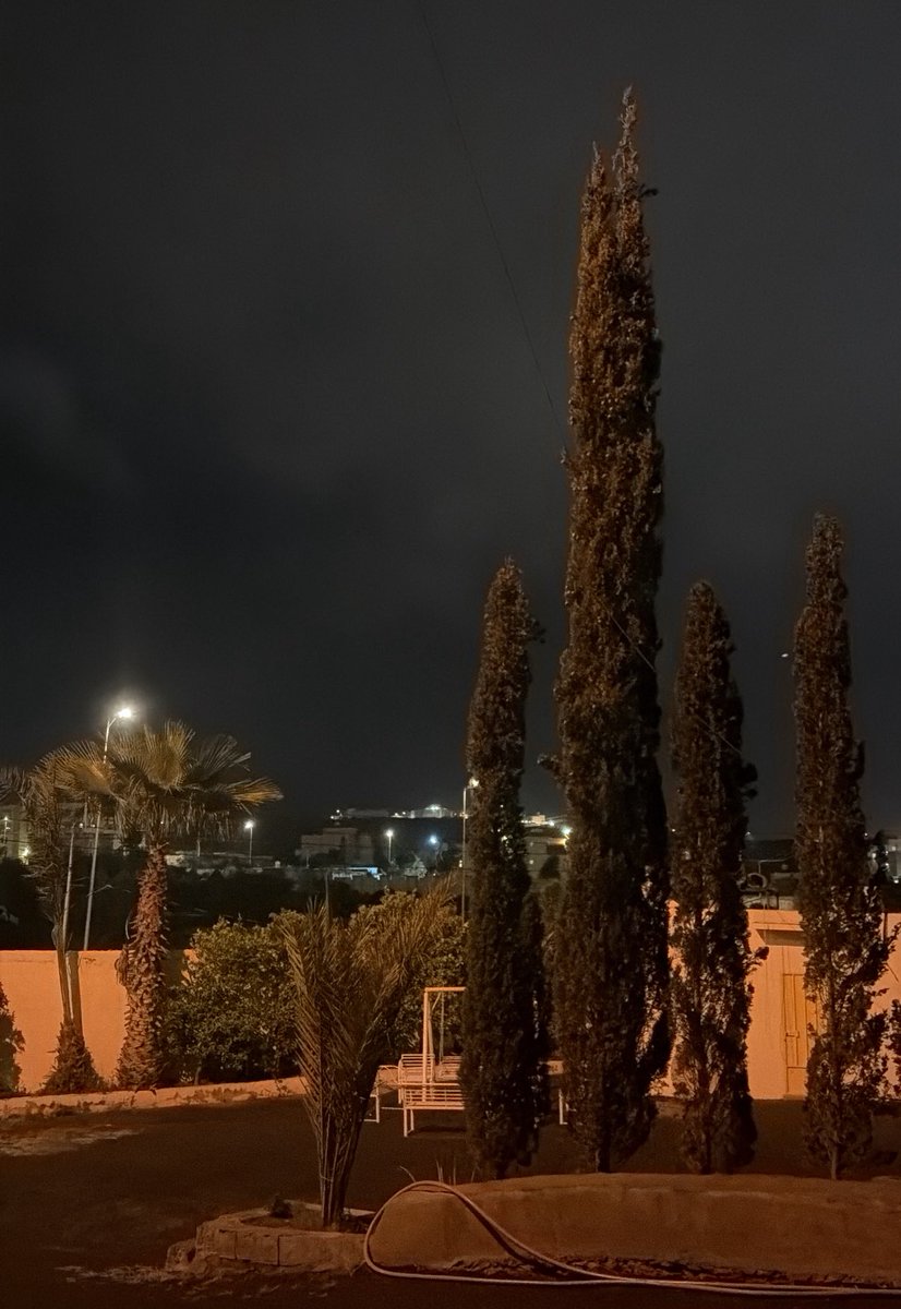 ضي القحطاني ❀ tweet media