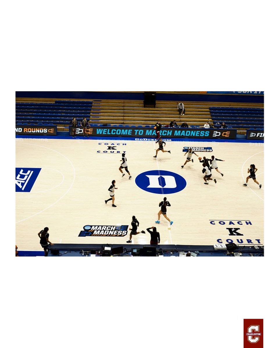 Charleston Women’s Hoops tweet media