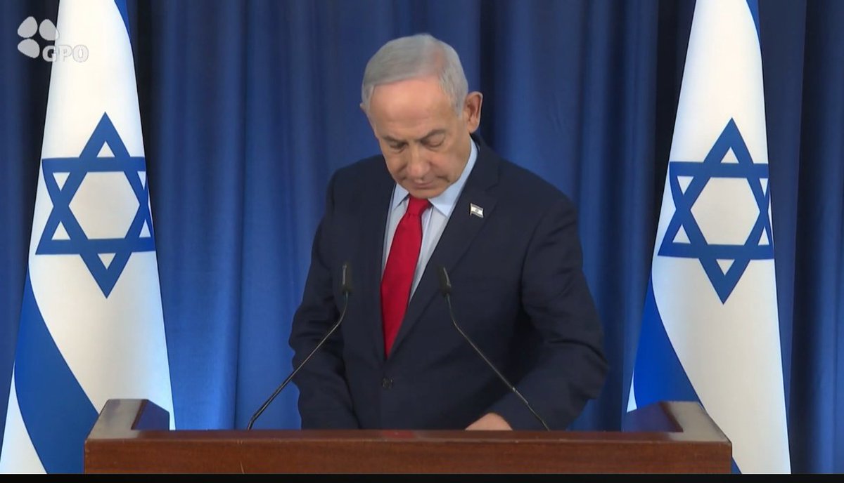 Sara Mago tweet media