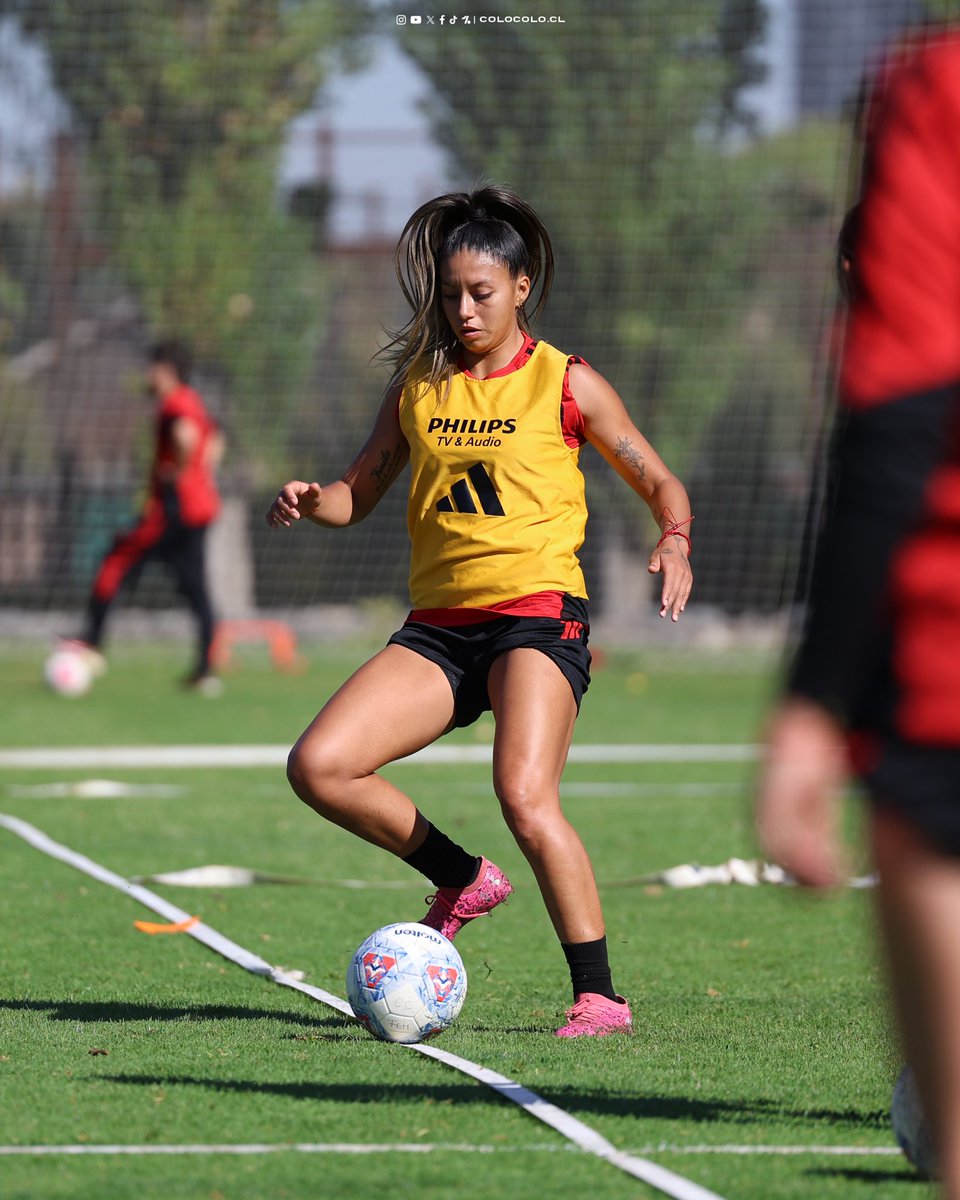 Colo-Colo Femenino tweet media
