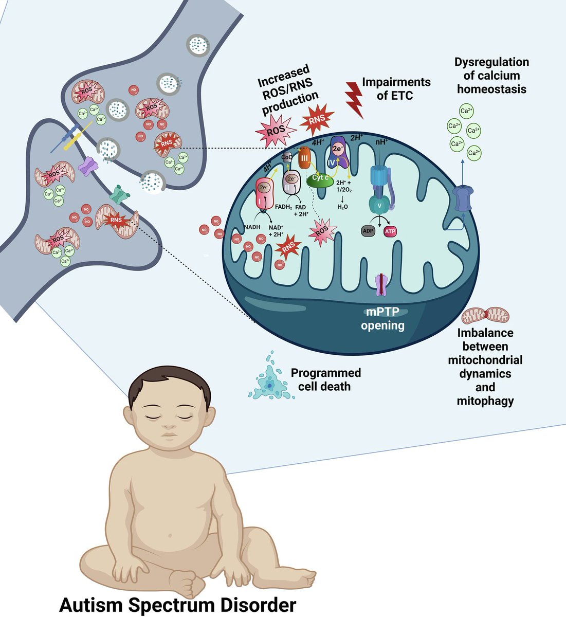 Dalton (Analyze & Optimize) tweet media