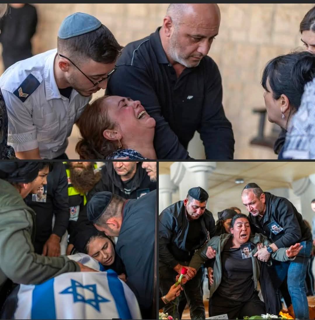 چوہدری شاہد محمود tweet media