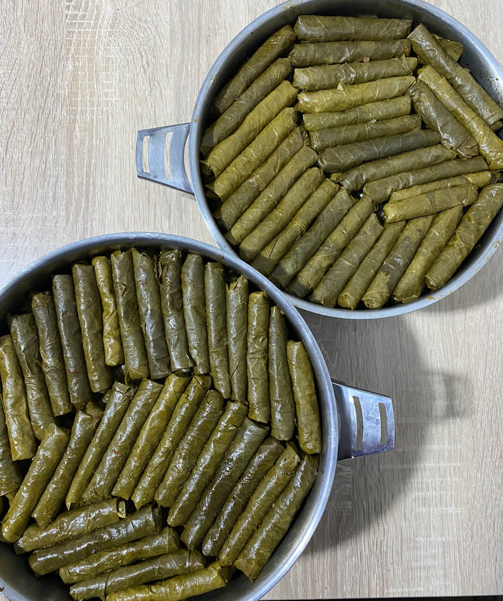 pantherssquadron 𓍲 tweet media