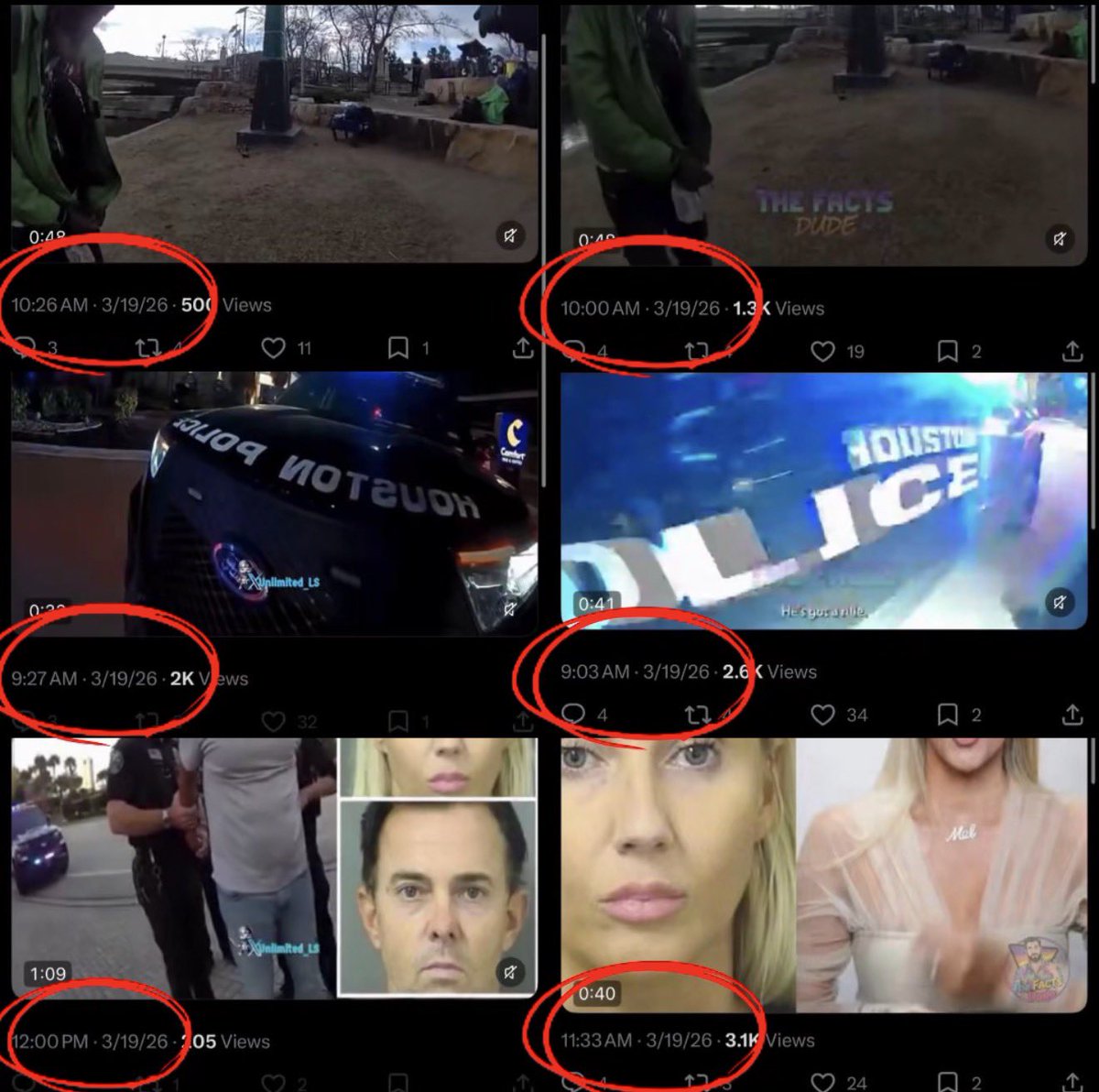 The Facts Dude 🤙🏽 tweet media