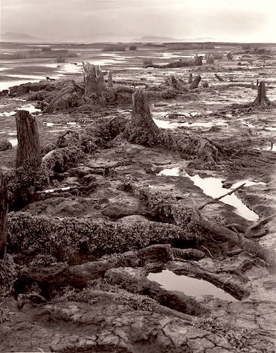 MoundLore tweet media