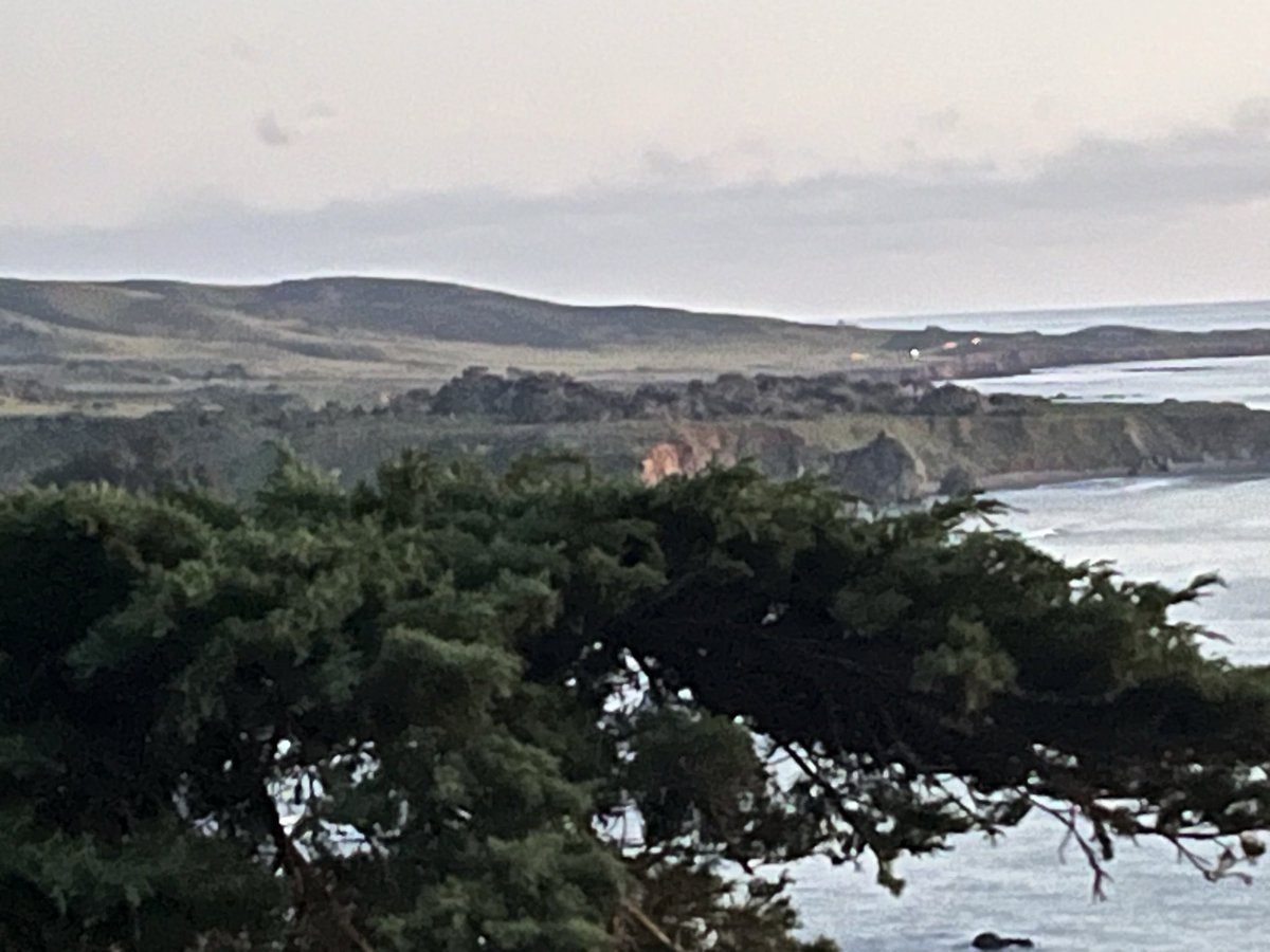 William Gradis 🐀 tweet media