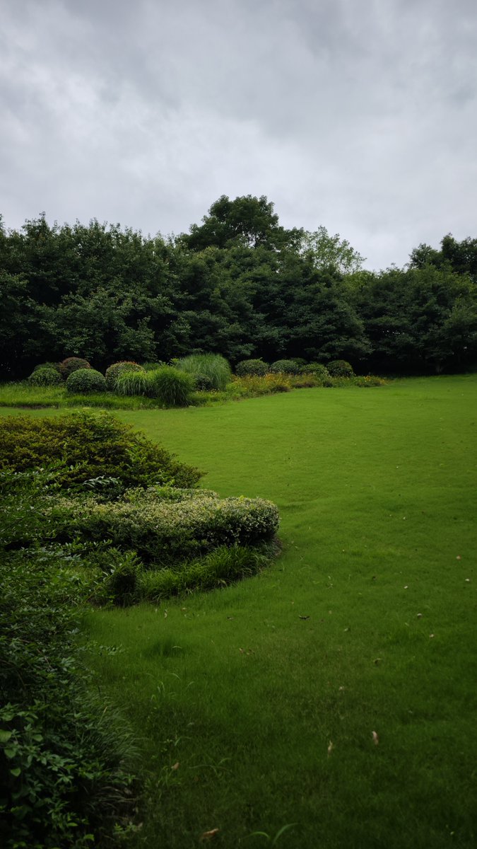 Paul Osuna tweet media