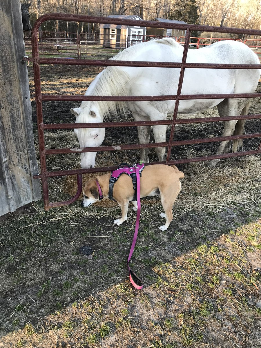 Logan2274 tweet media