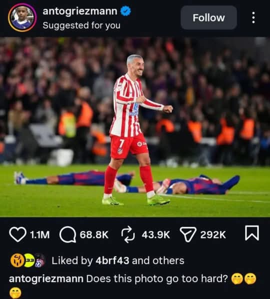 CHIMAOBI 🐅 tweet media