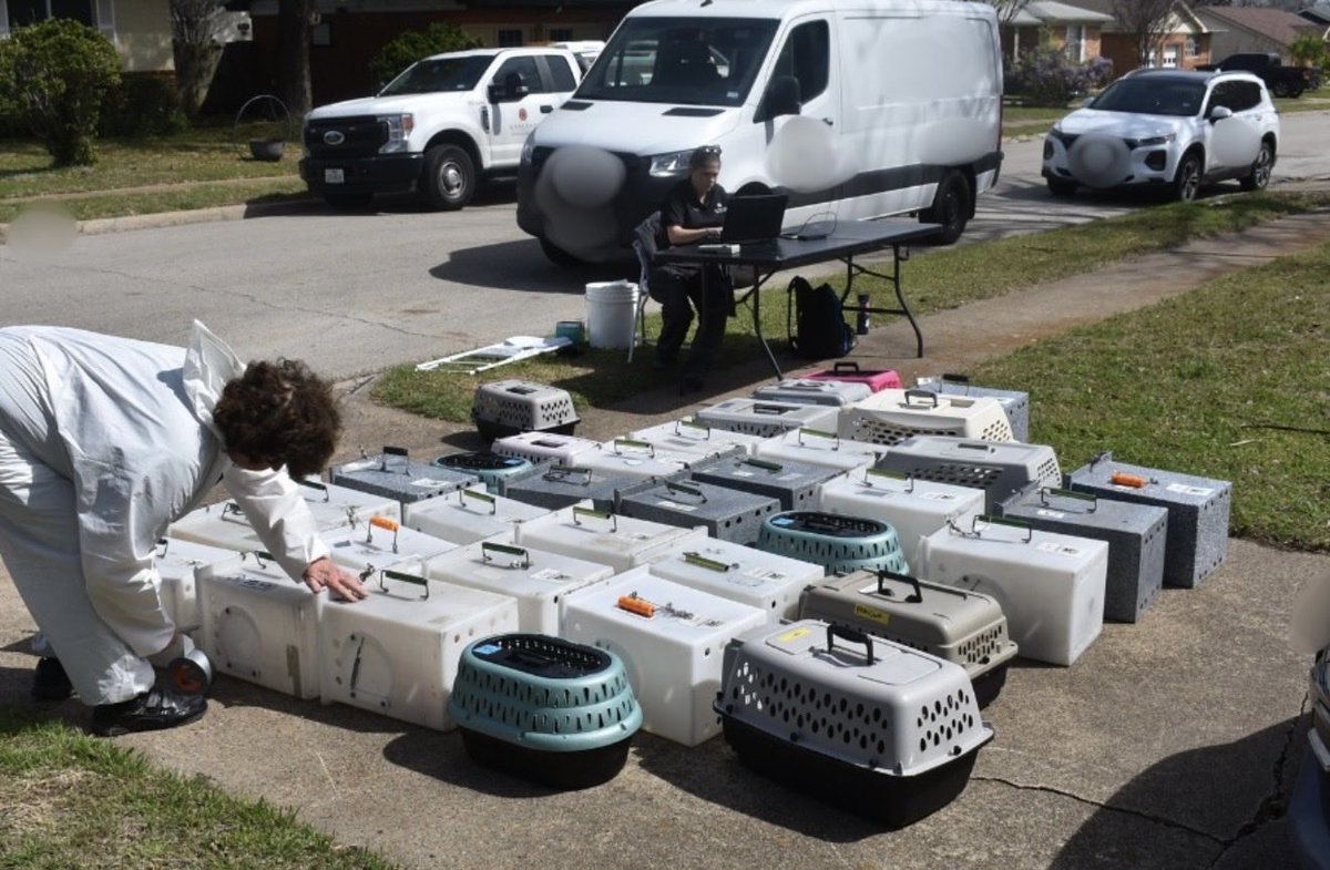 Dallas Texas TV tweet media