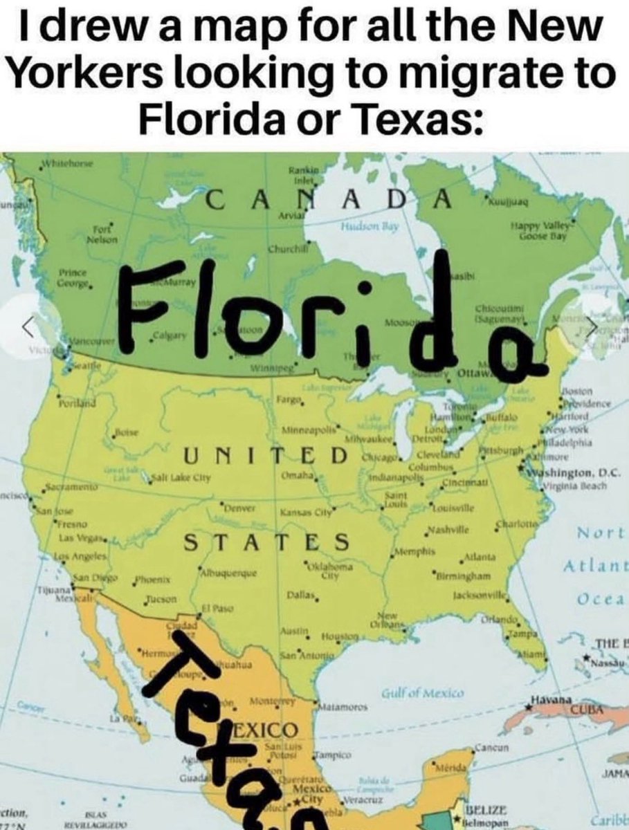 Missy in So Cal 𝄞𝄢 🇺🇸 tweet media