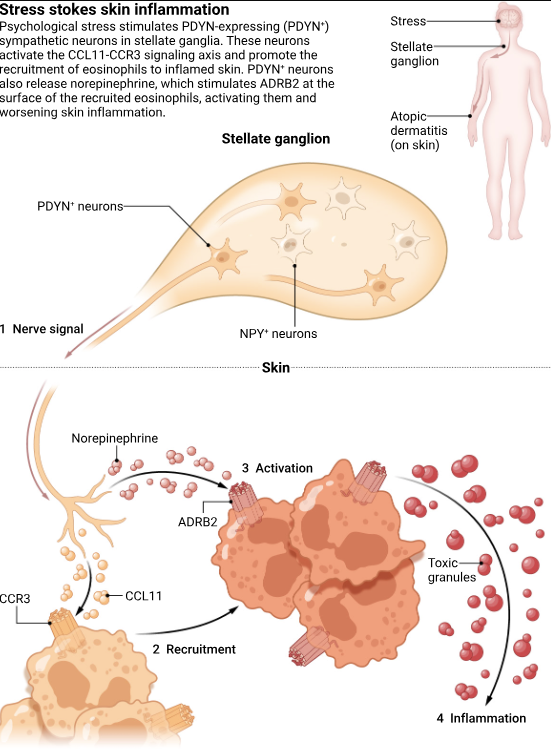 Waggoner Lab tweet media