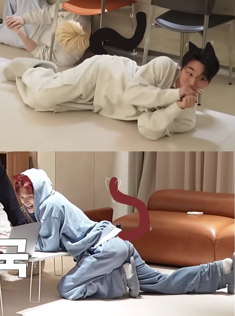 'Beth 🐈☂️🐈‍⬛ tweet media