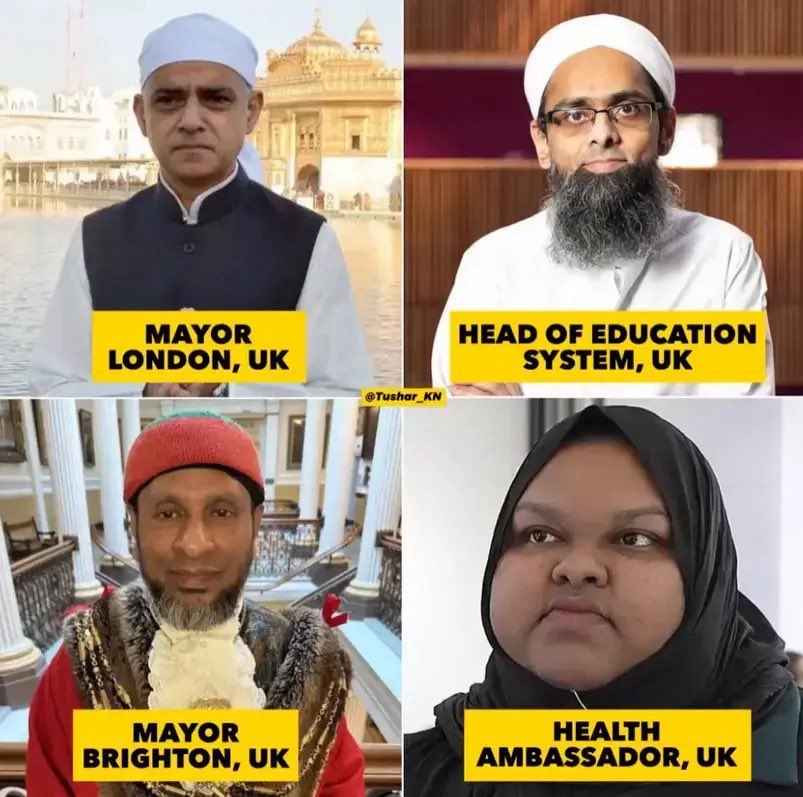 Joey FAFO tweet media