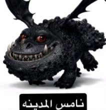 𝒜𝓂𝓂𝒶𝓇¹⁴¹ tweet media