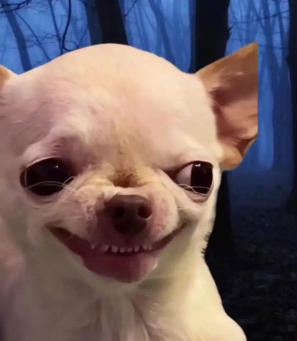 「 The Reply Guy 」🦅 tweet media