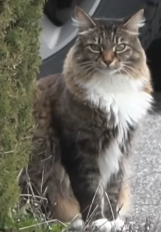 🔥JUAN🔥 tweet media