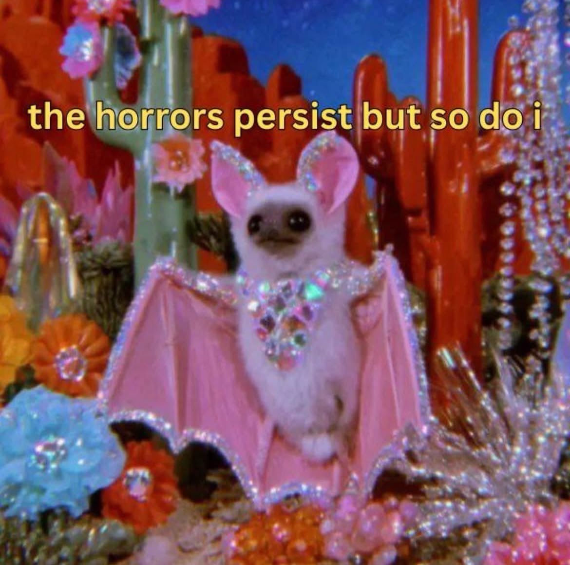 Veda Scott tweet media