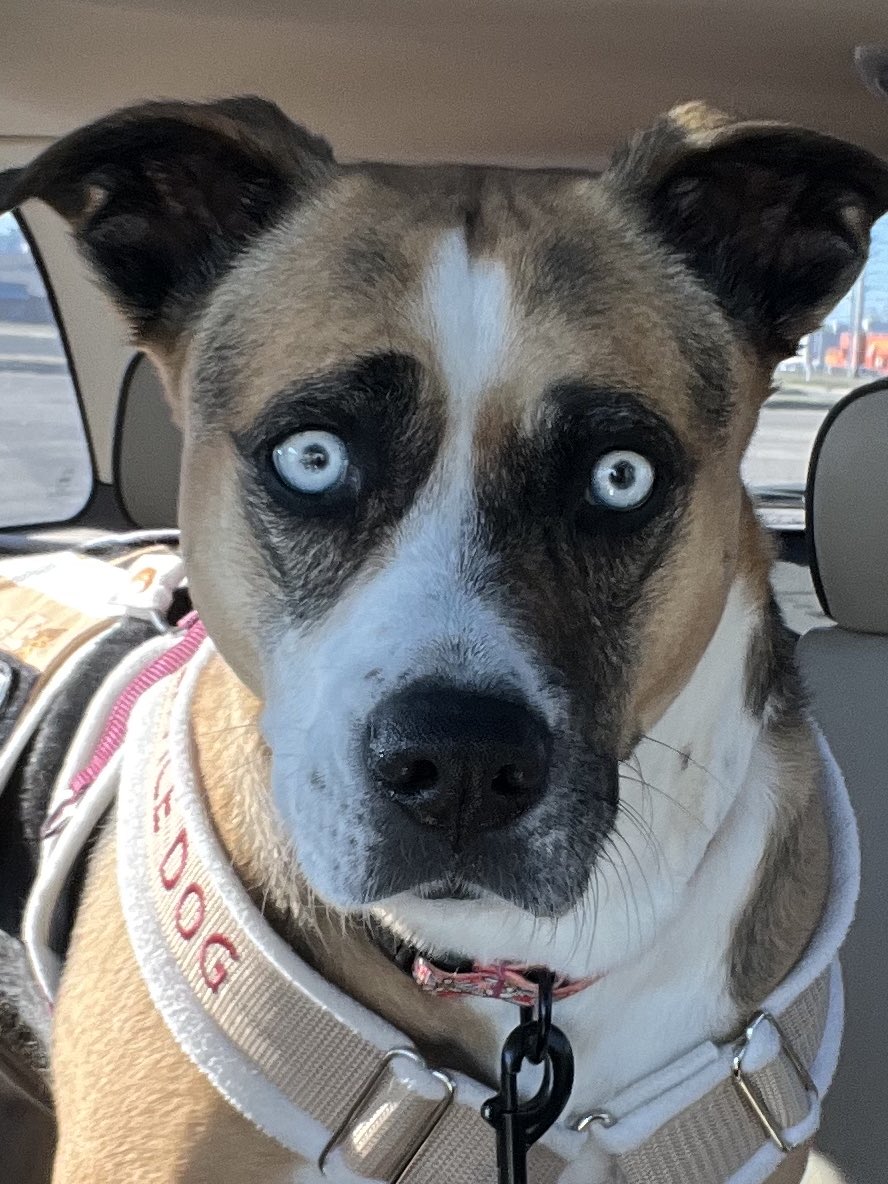 Crispy| Officially Lost It✨| tweet media