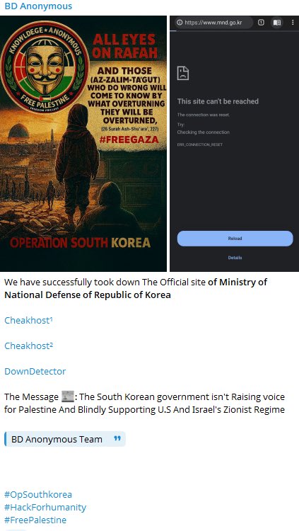 Dark Web Intelligence tweet media