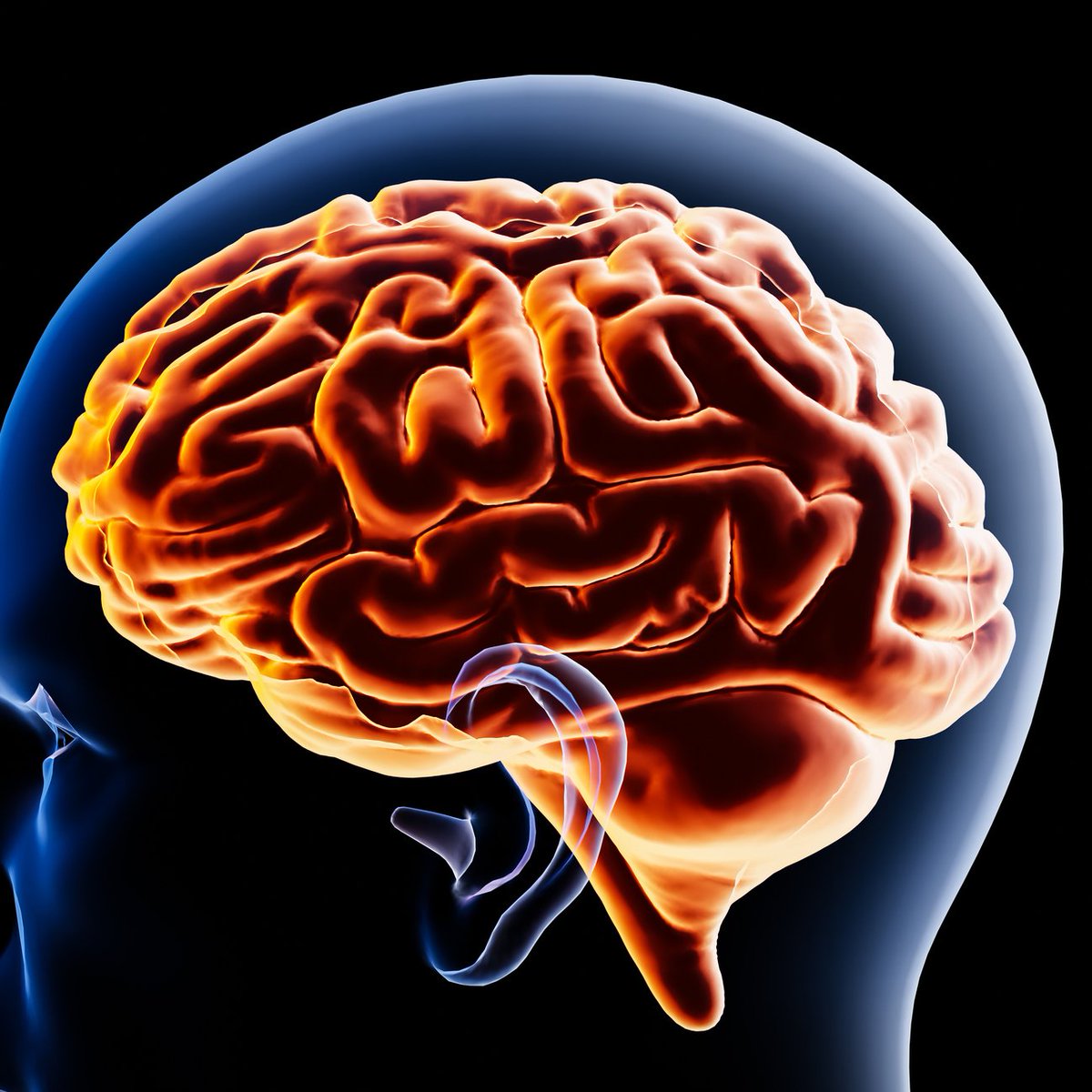 Kekius Maximus tweet media