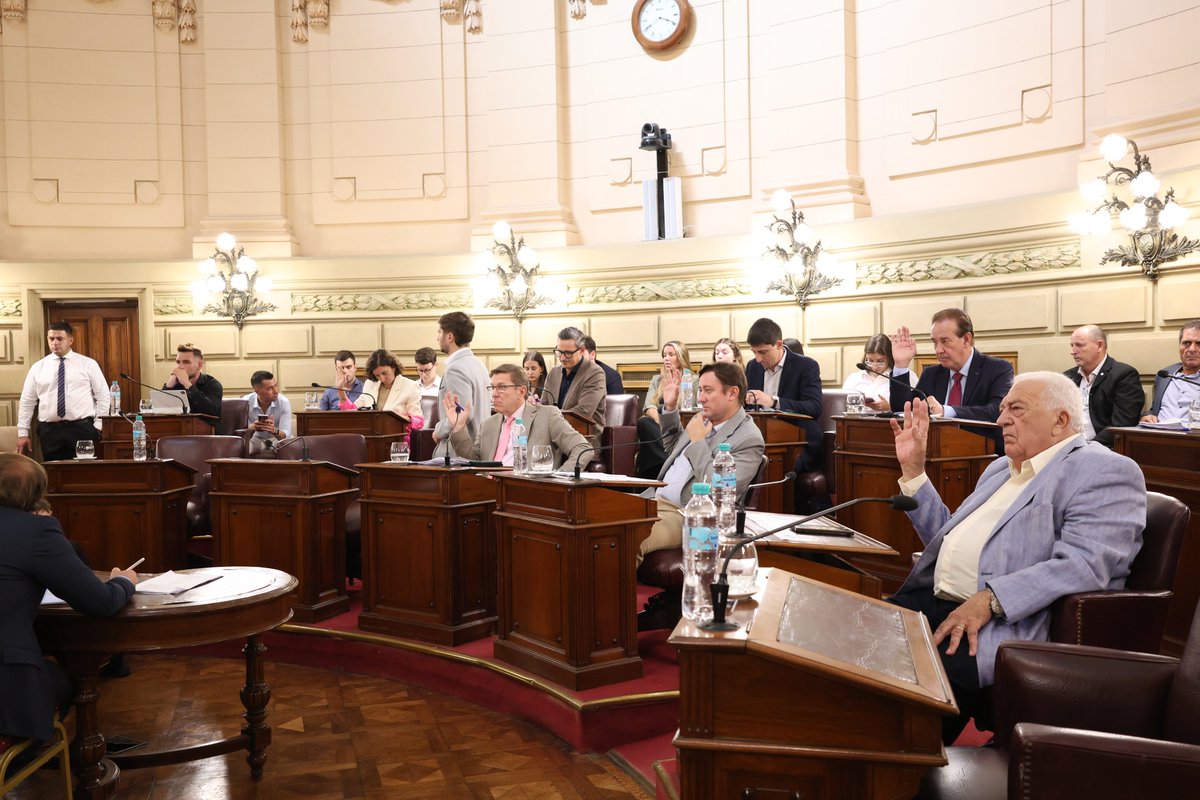 Cámara de Senadores tweet media