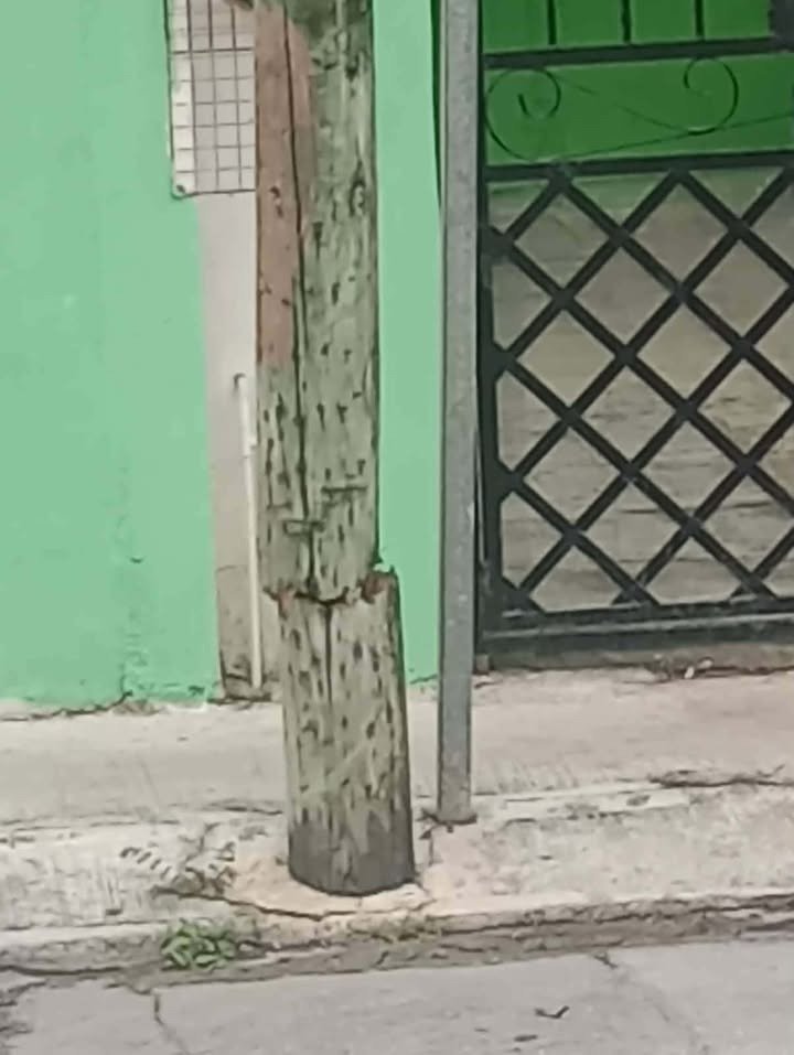 CANCUN VIVE tweet media